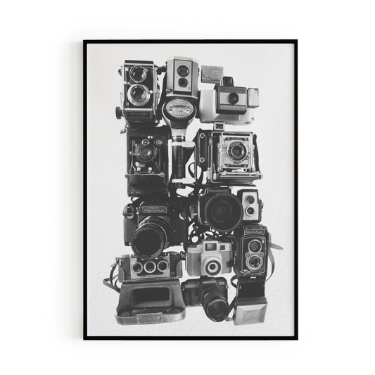 Vintage Cameras Art Print