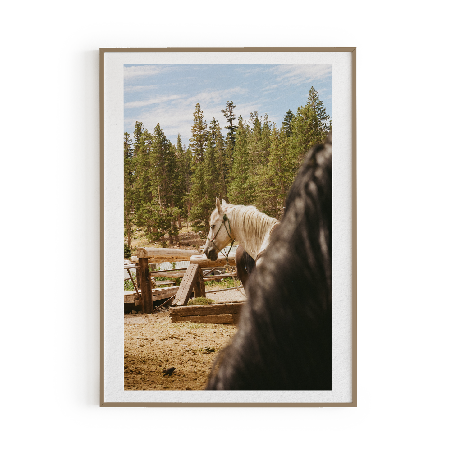 Wild Horse Art Print